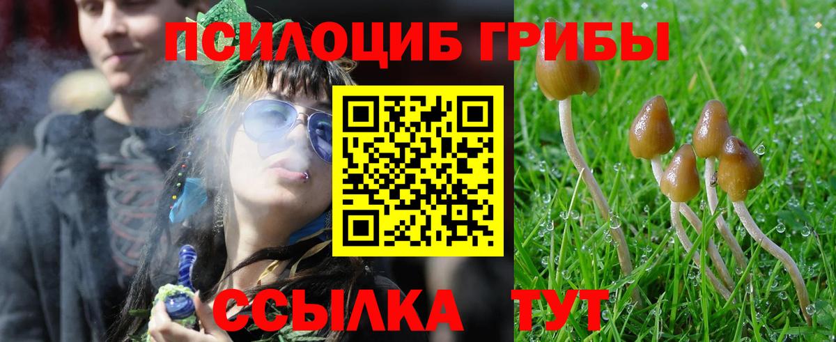 Галлюциногенные грибы Psilocybe  Вход с VPN  Галлюциногенные грибы Psilocybe  Киселёвск 