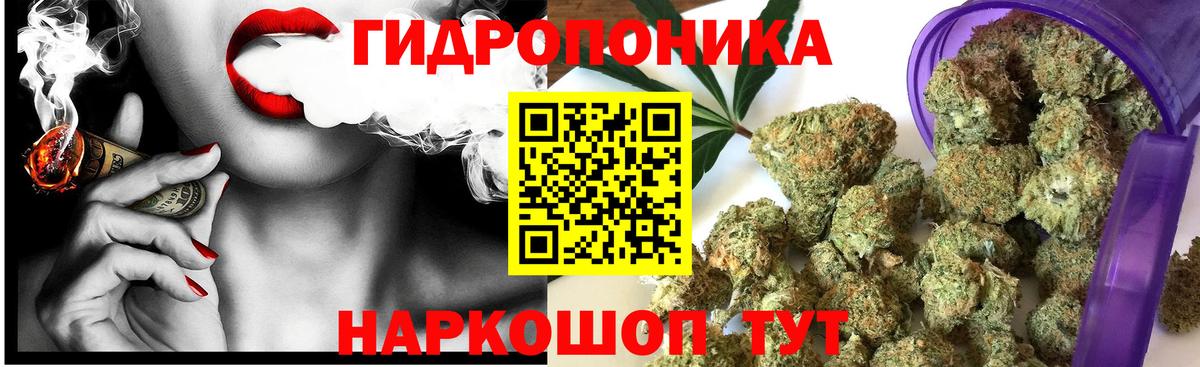 Киселёвск  Шишки марихуана конопля  Вход с VPN  Канабис тримм  Каннабис гибрид 